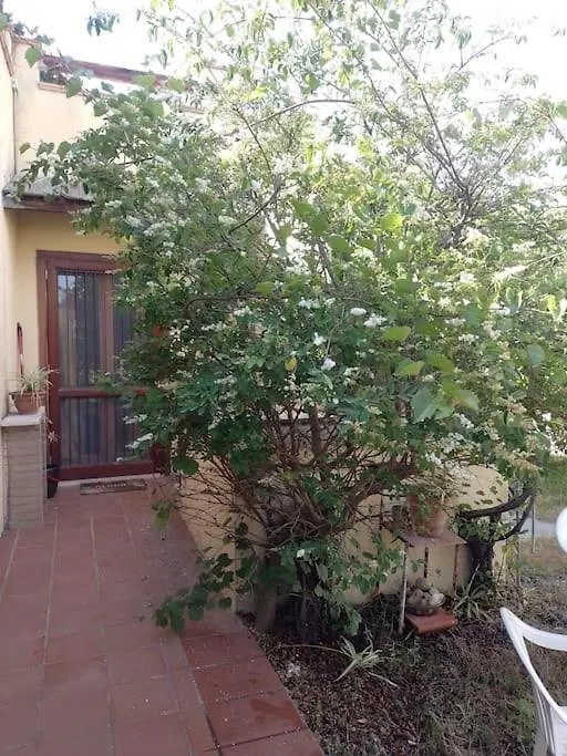 Tatil Evi Casa Ibischia, Fronte Mare Villa İtalya